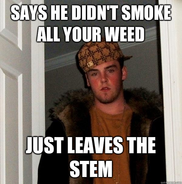 Says he didn't smoke all your weed  Just leaves the stem  Scumbag Steve