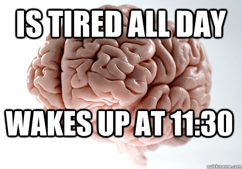 Is tired all day wakes up at 11:30   Scumbag Brain