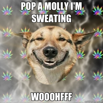 POP A MOLLY I'M SWEATING WOOOHFFF  Stoner Dog