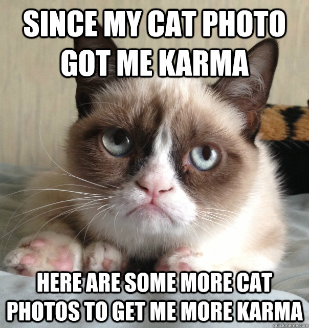 Since my cat photo got me karma Here are some more cat photos to get me more karma - Since my cat photo got me karma Here are some more cat photos to get me more karma  Misc