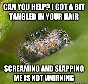 can you help? i got a bit tangled in your hair screaming and slapping me is not working - can you help? i got a bit tangled in your hair screaming and slapping me is not working  Misunderstood Spider