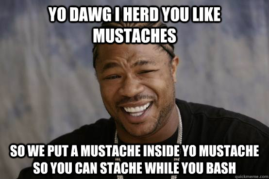 YO DAWG I HERD YOU LIKE MUSTACHES SO WE PUT A MUSTACHE INSIDE YO MUSTACHE SO YOU CAN STACHE WHILE YOU BASH  YO DAWG