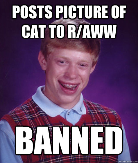 posts picture of cat to r/aww BANNED  Bad Luck Brian