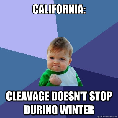 California: cleavage doesn't stop during winter - California: cleavage doesn't stop during winter  Success Kid