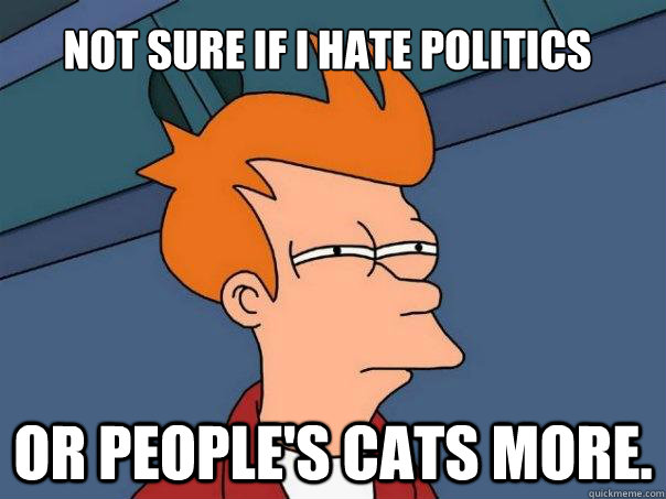 NoT SURE IF i HATE POLITICS or PEOPLE'S CATS MORE. - NoT SURE IF i HATE POLITICS or PEOPLE'S CATS MORE.  Futurama Fry