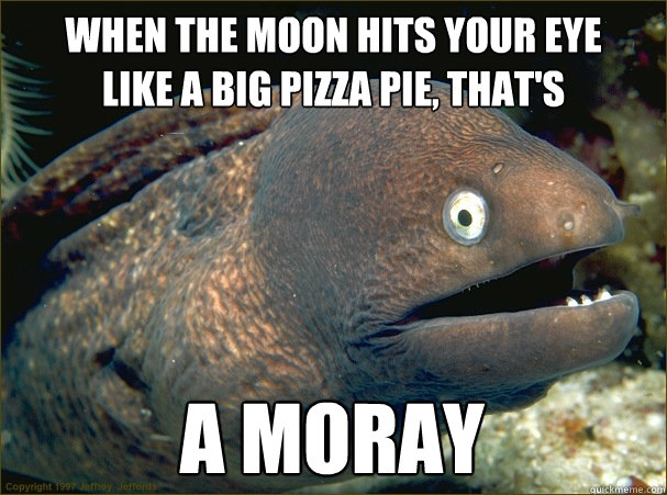 when the moon hits your eye 
like a big pizza pie, that's a moray  Bad Joke Eel