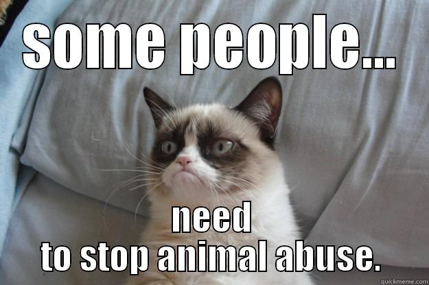 animal abuuuse - SOME PEOPLE... NEED TO STOP ANIMAL ABUSE. Grumpy Cat