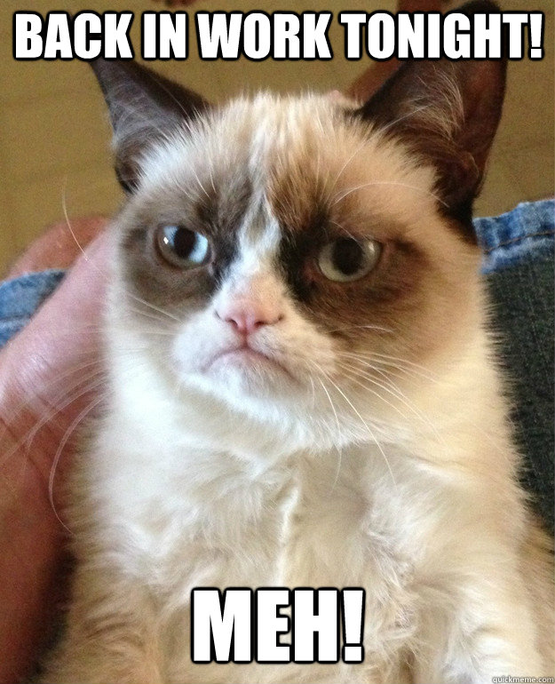 back in work tonight! meh!  Grumpy Cat