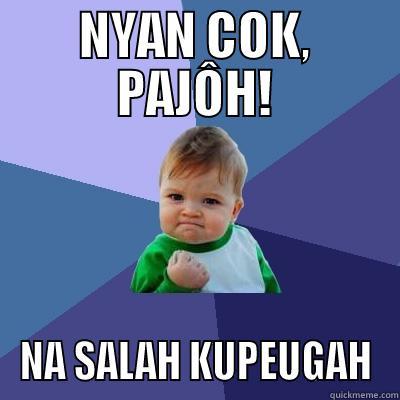 NYAN COK, PAJÔH! NA SALAH KUPEUGAH Success Kid