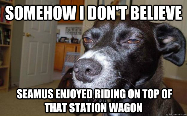 Somehow I don't believe  Seamus enjoyed riding on top of that station wagon  Skeptical Mutt