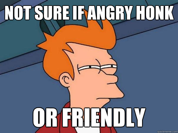 not sure if angry honk or friendly  Futurama Fry