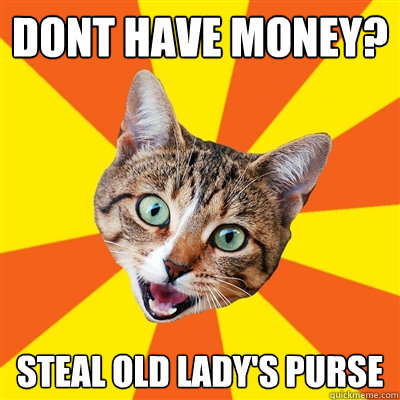 dont have money? steal old lady's purse  Bad Advice Cat