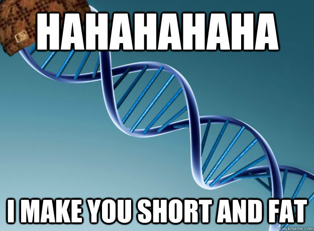 HAHAHAHAHA I make you short and fat  - HAHAHAHAHA I make you short and fat   Scumbag Genetics