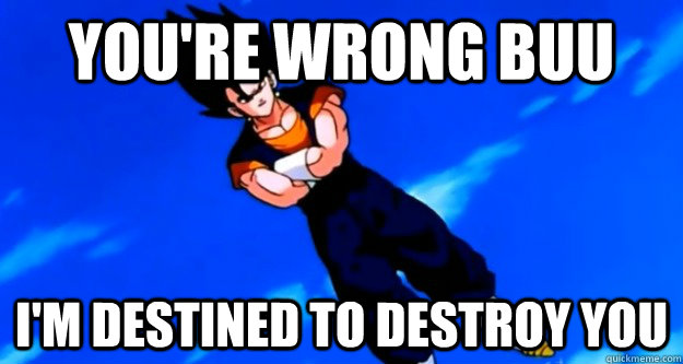 You're wrong Buu I'm destined to destroy you  Vegito meme