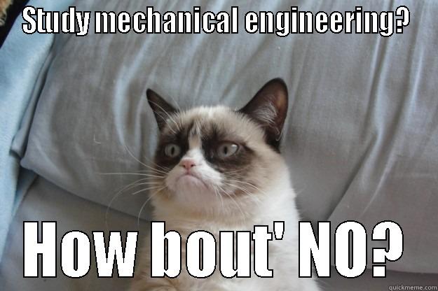 STUDY MECHANICAL ENGINEERING? HOW BOUT' NO? Grumpy Cat