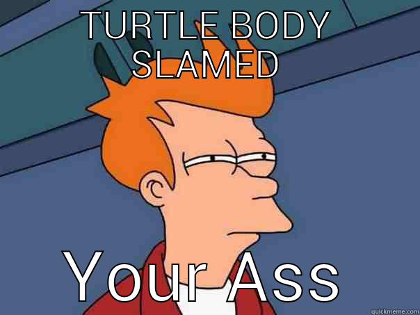 TURTLE BODY SLAMED YOUR ASS Futurama Fry