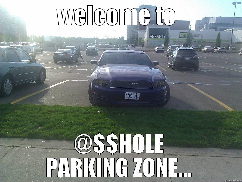 WELCOME TO  @$$HOLE PARKING ZONE... Misc