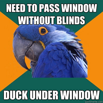 need to pass window without blinds Duck under window  - need to pass window without blinds Duck under window   Paranoid Parrot