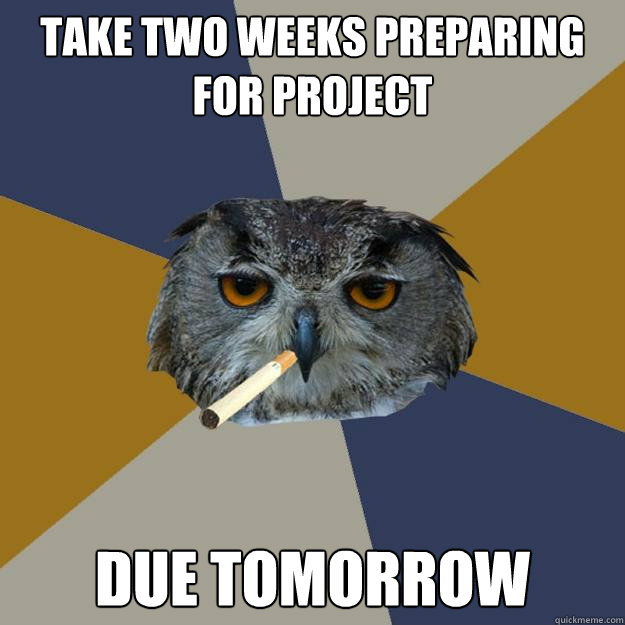 TAKE TWO WEEKS PREPARING FOR PROJECT DUE TOMORROW - TAKE TWO WEEKS PREPARING FOR PROJECT DUE TOMORROW  Art Student Owl