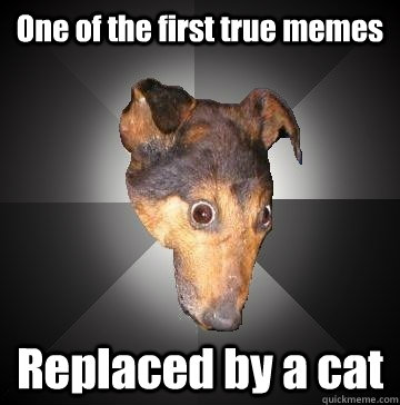 One of the first true memes Replaced by a cat  Depression Dog