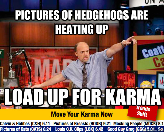 pictures of Hedgehogs are heating up load up for karma - pictures of Hedgehogs are heating up load up for karma  Mad Karma with Jim Cramer