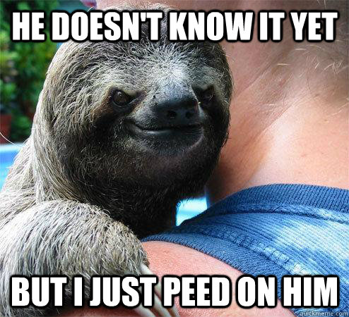 He doesn't know it yet But I just peed on him  Suspiciously Evil Sloth