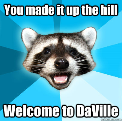 You made it up the hill Welcome to DaVille - You made it up the hill Welcome to DaVille  Lame Pun Coon