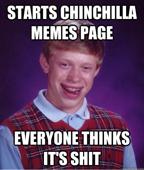 Starts Chinchilla Memes page Everyone thinks it's shit  Bad Luck Brian