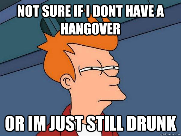 Not sure if i dont have a hangover Or Im just still drunk  Futurama Fry