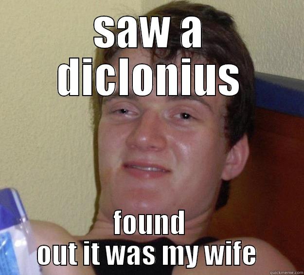 SAW A DICLONIUS FOUND OUT IT WAS MY WIFE  10 Guy