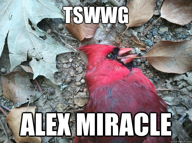 Tswwg Alex Miracle - Tswwg Alex Miracle  Adelaide Dead Bird