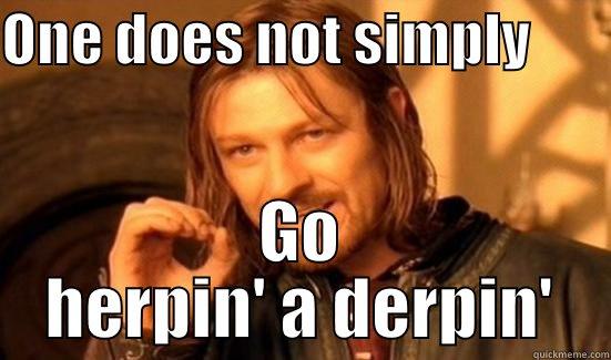 ONE DOES NOT SIMPLY        GO HERPIN' A DERPIN' Boromir