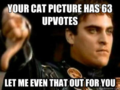 Your cat picture has 63 upvotes let me even that out for you - Your cat picture has 63 upvotes let me even that out for you  Downvoting Roman