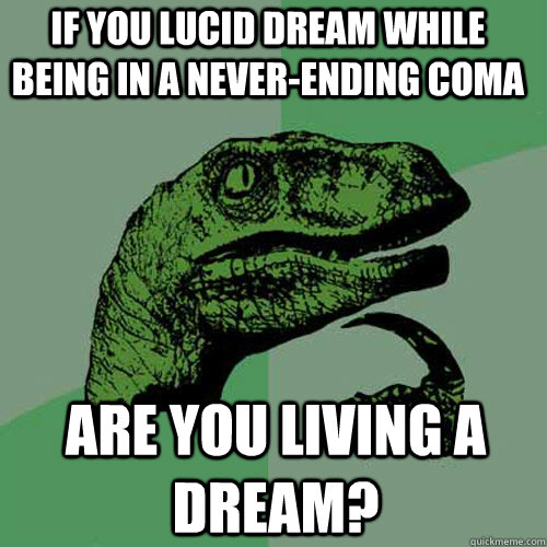If you lucid dream while being in a never-ending coma Are you living a dream? - If you lucid dream while being in a never-ending coma Are you living a dream?  Philosoraptor