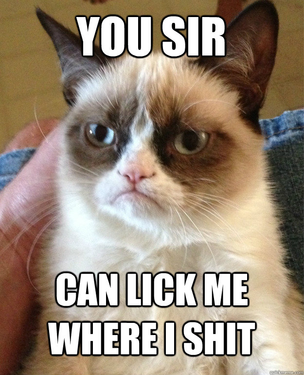 YOU SIR Can Lick me where I shit  Grumpy Cat