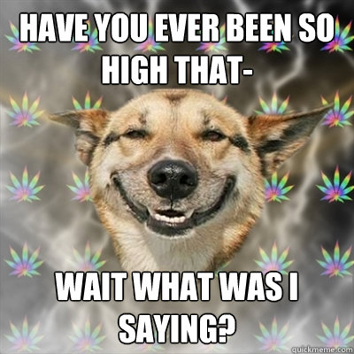 Have you ever been so high that- Wait what was I saying?  Stoner Dog