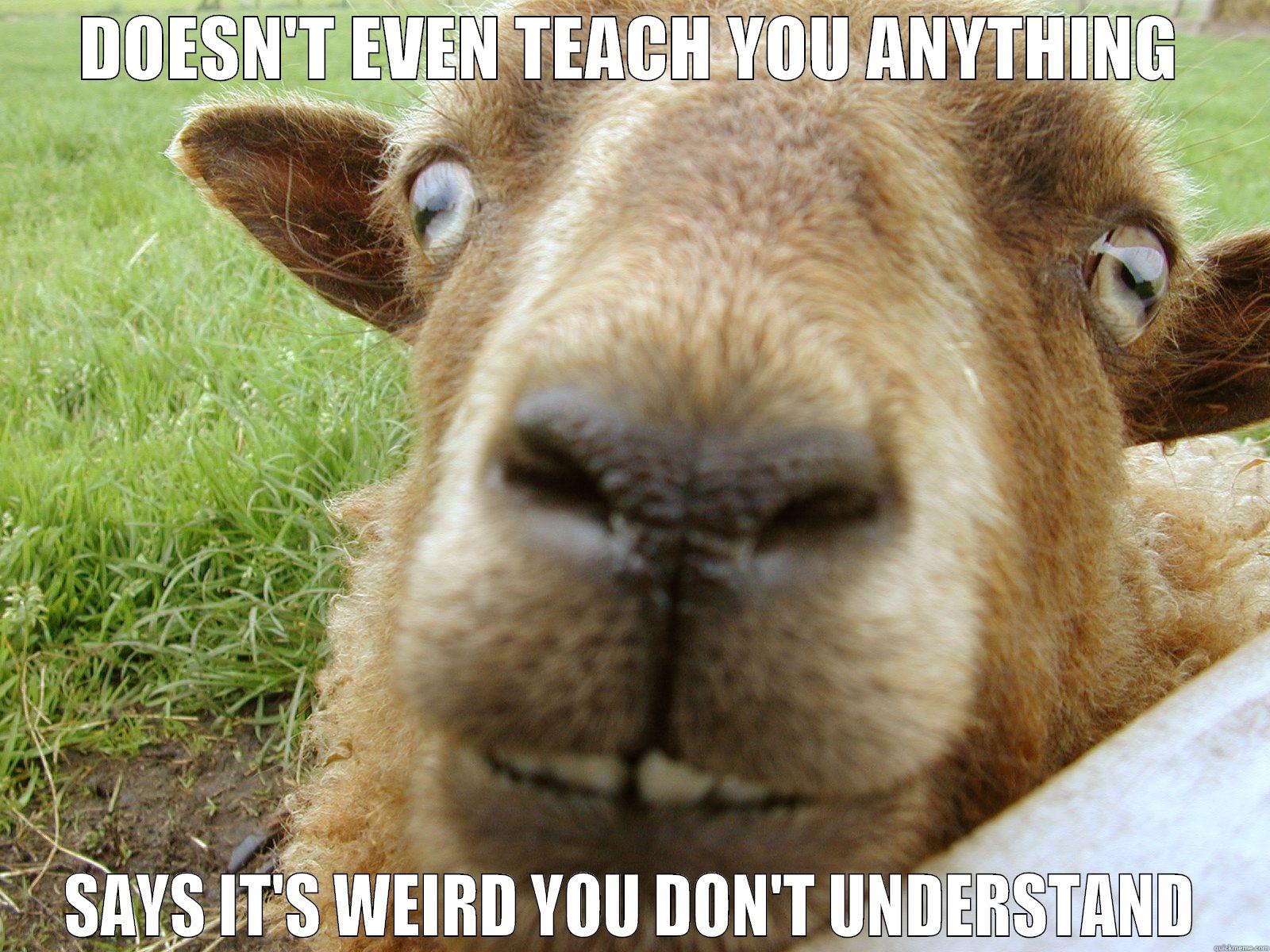 goat is a sucky math teacher - DOESN'T EVEN TEACH YOU ANYTHING SAYS IT'S WEIRD YOU DON'T UNDERSTAND Misc