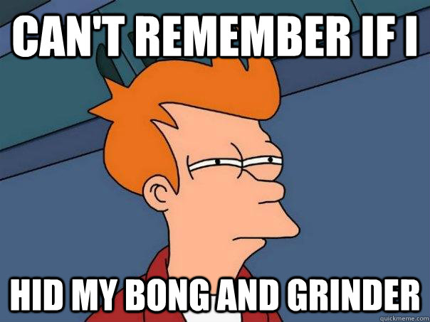 Can't remember if I hid my bong and grinder  Futurama Fry