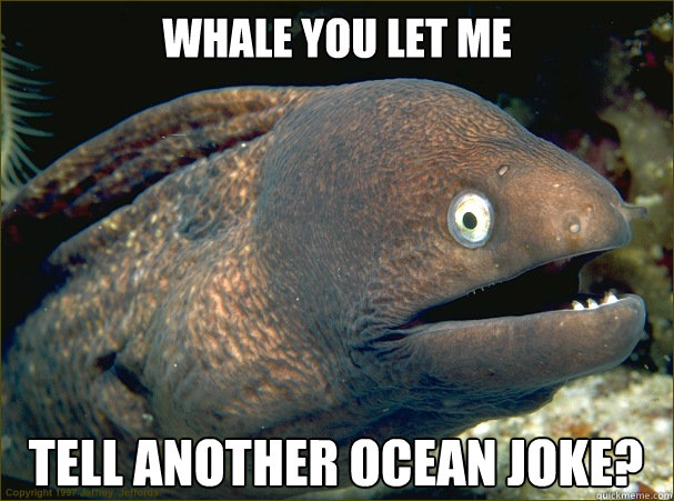 Whale you let me tell another ocean joke?  Bad Joke Eel