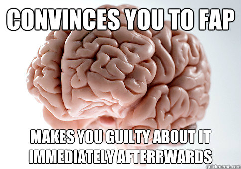 convinces you to fap makes you guilty about it immediately afterrwards  Scumbag Brain