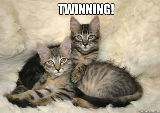 twinning! - twinning!  Twinning