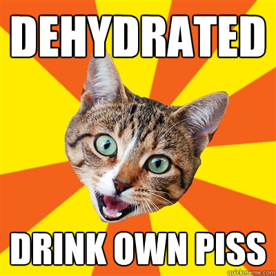 dehydrated drink own piss  Bad Advice Cat