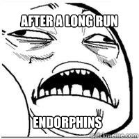 After a long run Endorphins  Orgasm Face