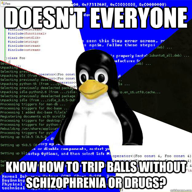 doesn't everyone know how to trip balls without schizophrenia or drugs?  Computer Science Penguin