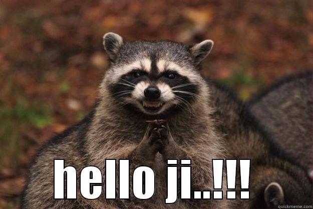  HELLO JI..!!! Evil Plotting Raccoon