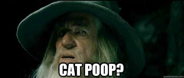  Cat poop?  Gandalf