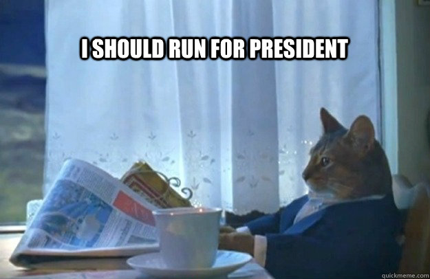 I should run for president  Sophisticated Cat