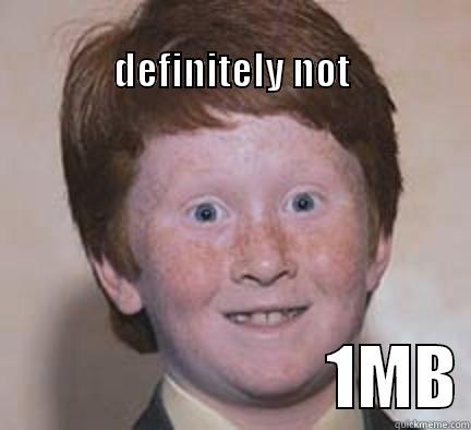 1mb haha -                                              DEFINITELY NOT                         1MB Over Confident Ginger