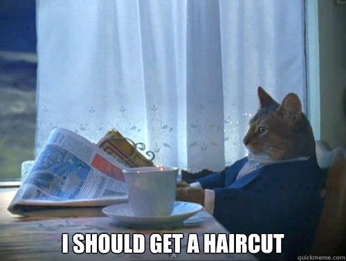  I should get a haircut -  I should get a haircut  The One Percent Cat