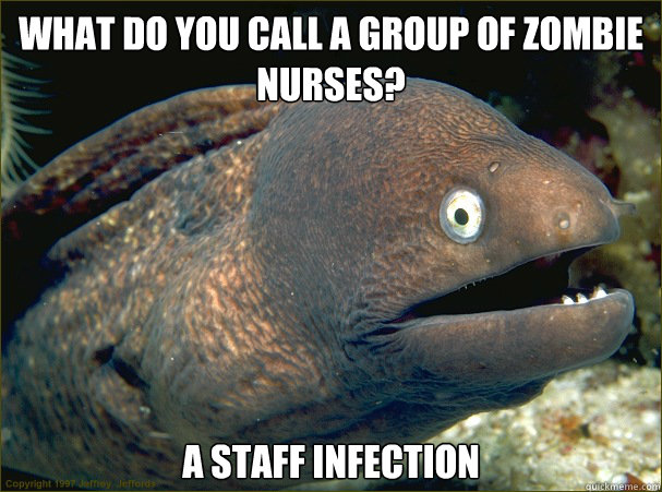 What do you call a group of zombie nurses? A staff infection  Bad Joke Eel